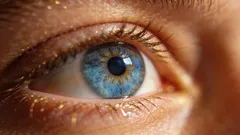 Gimnastică pentru ochi: 5 tehnici pentru o vedere clară și prevenirea oboselii