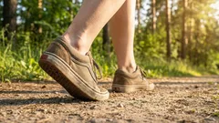 De ce icrele sunt numite „a doua inimă” — și cum să le „trezim”