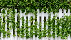 Cu ce să înlocuiești gardul: cele mai bune plante cu creștere rapidă pentru un gard viu